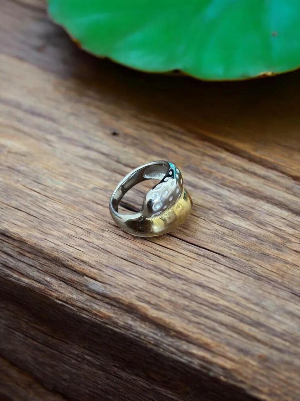 Dual-Tone Serpent Band Ring with Coiled Snake Motif